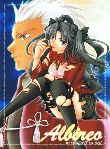 (Mimiket 10) [RED DATA BOOK (Amano Ryuki)] Albireo (Fate/stay night) cover