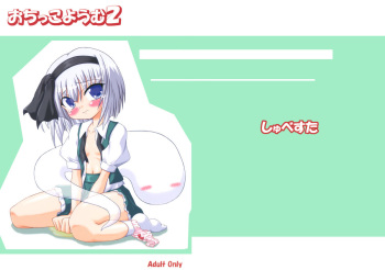 (C72) [Schwester (Inasaki Shirau)] Ochikko Youmu 2 (Touhou Project) cover