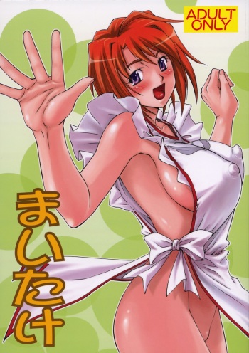 (C73)[Leaf Party (Nagare Ippon)] LeLe Pappa Vol.12 Maitake (Mai-Hime) cover