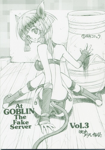 [ZINZIN] At Goblin The Fake Server Vol.3 (Final Fantasy XI) cover