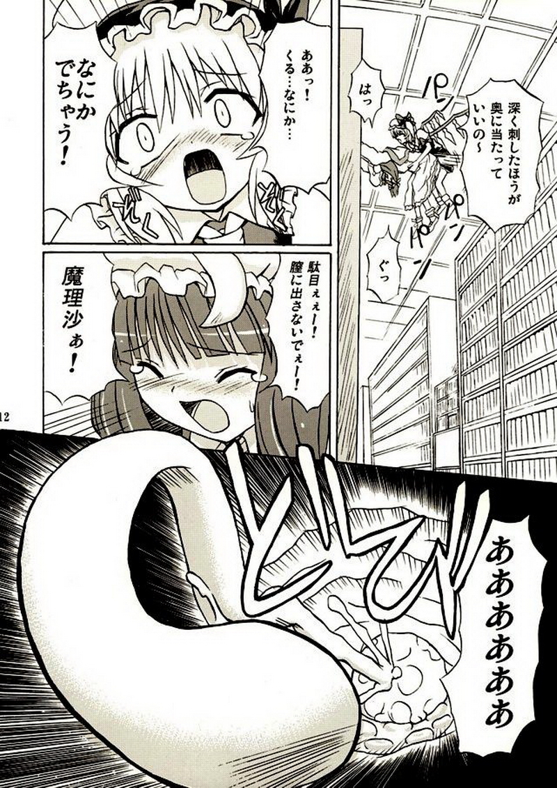 Touhou Youjo Ranbu 2 page 11 full