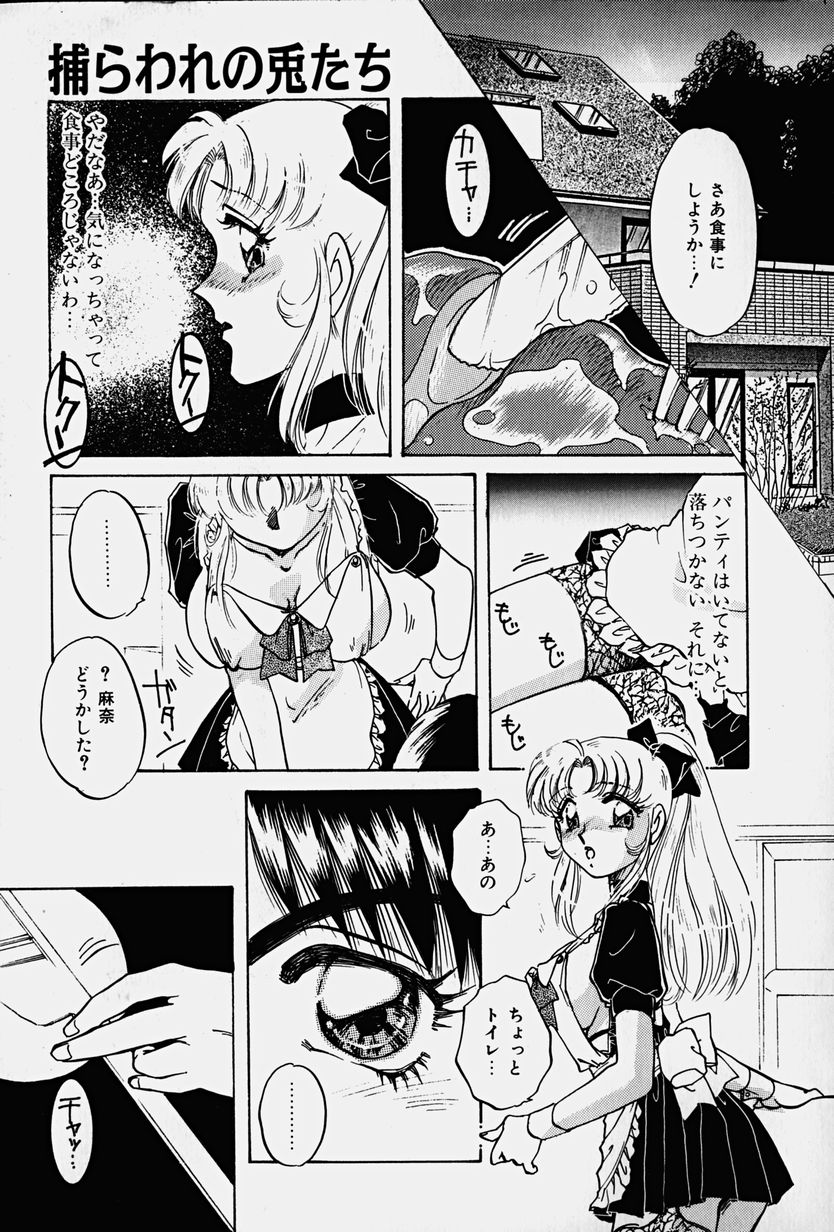Toraware no Usagitachi page 12 full