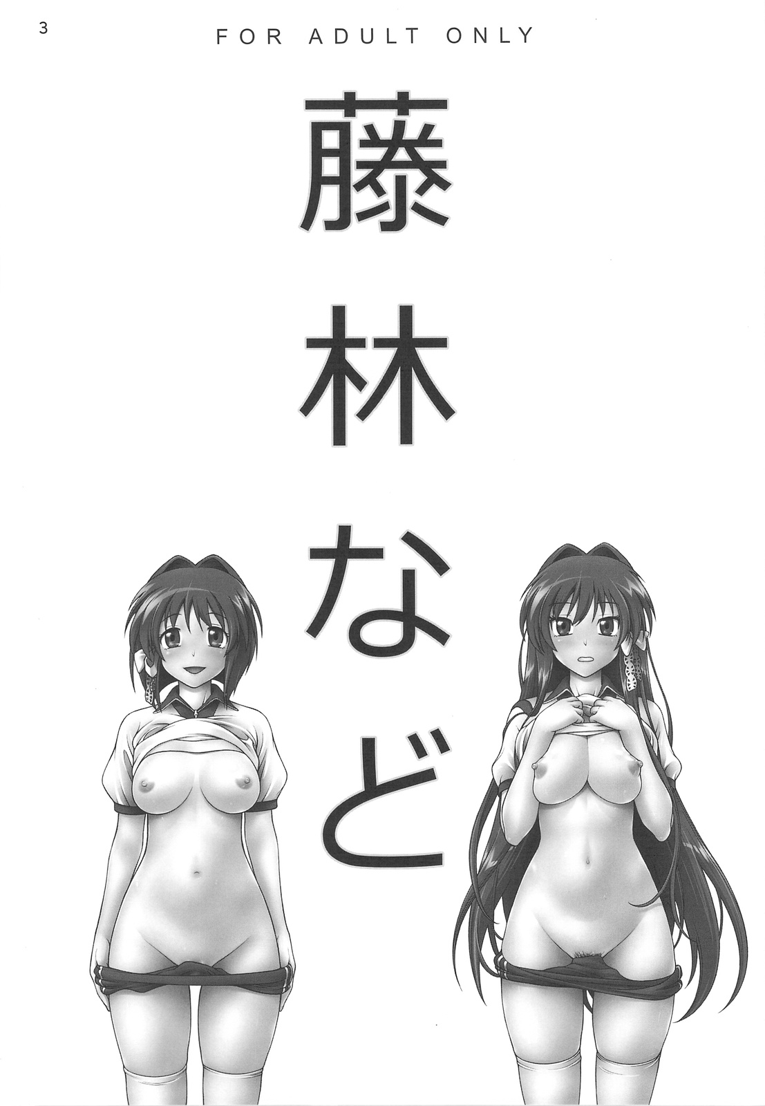 Fujibayashi Nado - Fujibayashi Twins After Story page 2 full