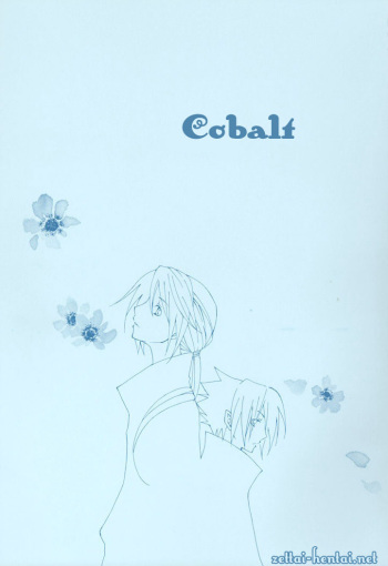 Colbalt cover