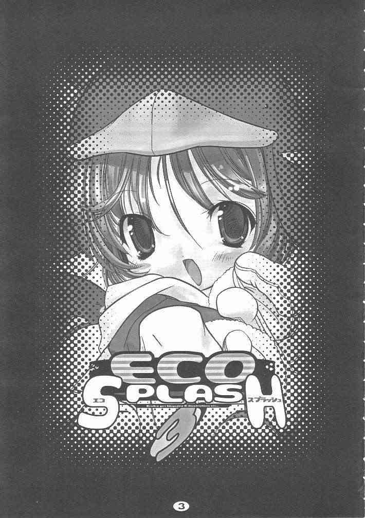 Eco Splash 3 page 2 full