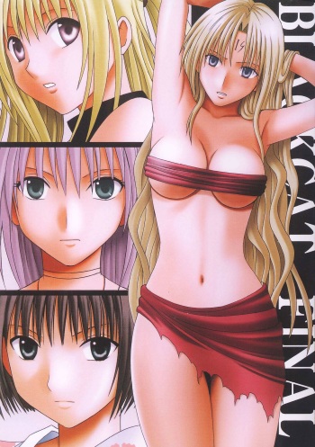 (C66) [Crimson (Carmine)] Black Cat Final (Black Cat) [English] [SaHa] [Incomplete] cover