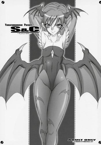 (SC31) [Youkai Tamanokoshi (CHIRO)] S&C -LiLith- (Darkstalkers, Street Fighter) cover