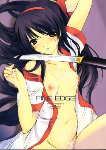 (C64) [ZANKIROW (Onigiri-kun)] Pile Edge 2003 Summer (Samurai Spirits) cover