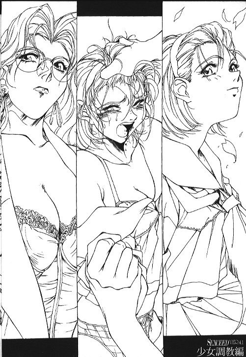 SEXCEED Ver 4.1 page 3 full