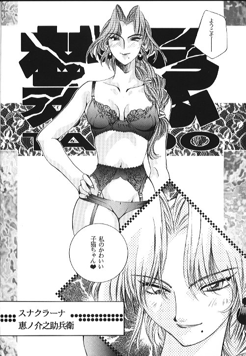 SEXCEED Ver 4.1 page 9 full