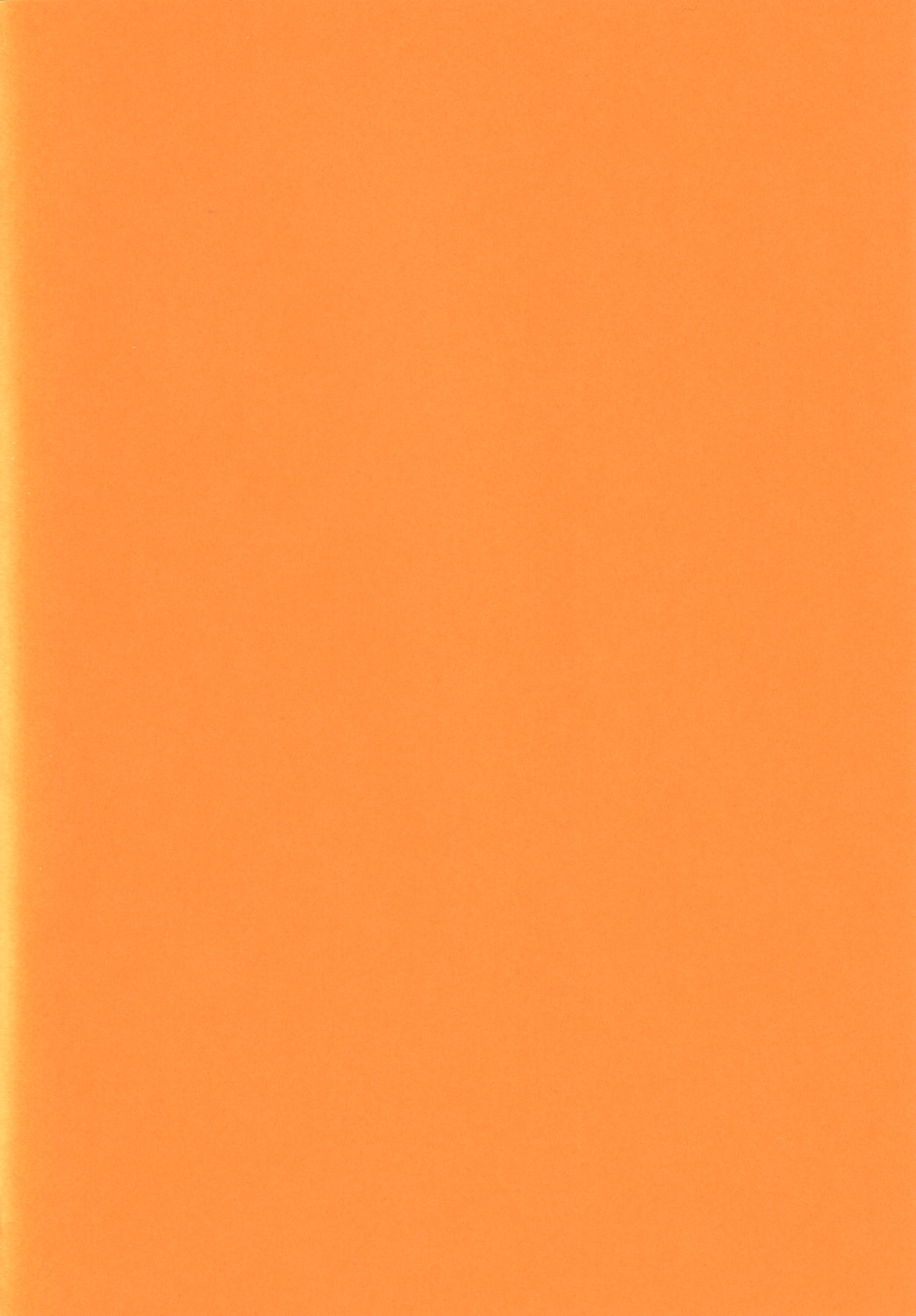Idebon page 2 full