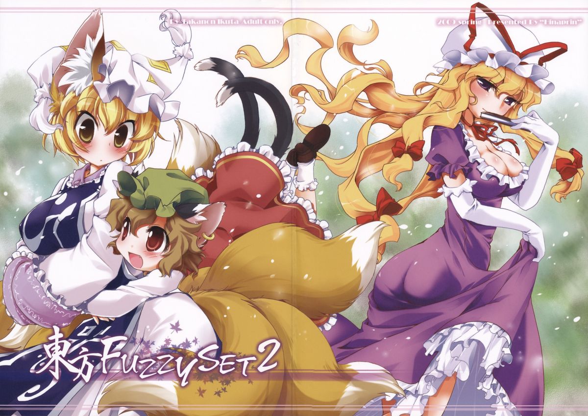 Touhou FUZZYSET 2 page 2 full
