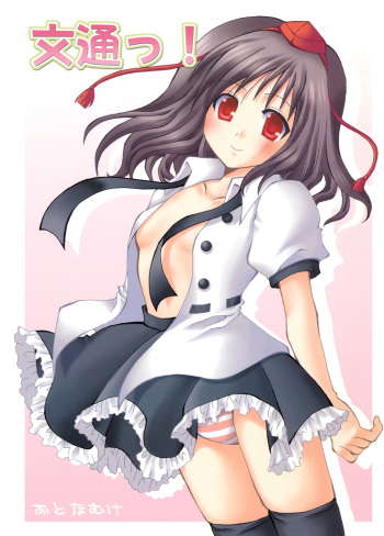 [Lyco-Z] Buntsuu! (Touhou) cover
