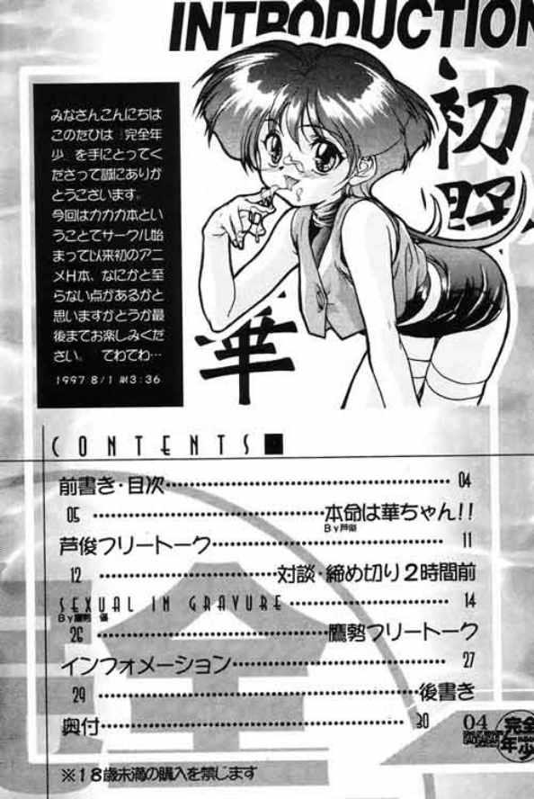 Kanzen Nenshou King of Braves GaoGaiGar page 3 full