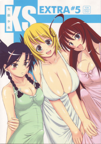 (C72) [KESSON SYOUJYO] KS EXTRA #5 (My-Otome) cover