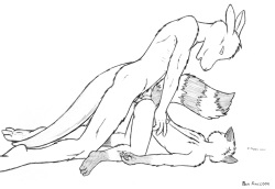 Ben Raccoon - furry cub collection