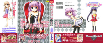 [Morisaki Kurumi] Precious Shokai Genteiban cover