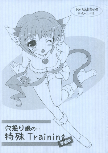 [Konoha] Anahori musume no... tokushu Training Jumbigou (C75) cover