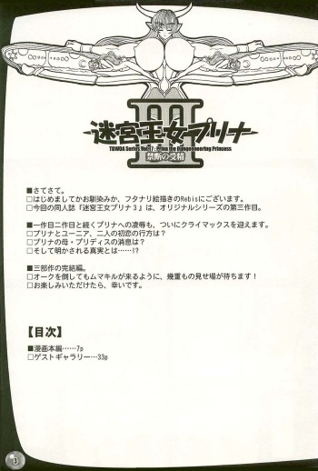 (C67) [Arsenothelus (Rebis)] TGWOA Vol.17 - Meikyuu Oujo Prina 3 cover