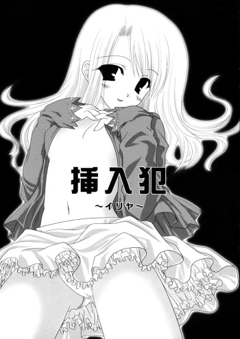 (C66) [Tamashii MAX, (Nanami, Super Afro Head)] Sounyuuhan ~Illya~ (Fate/stay night) cover