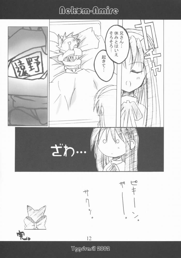 Nekom-Amire page 9 full