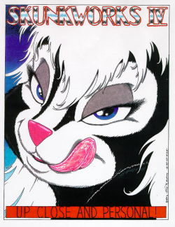 Skunkworks 4 - Up Close and Personal!