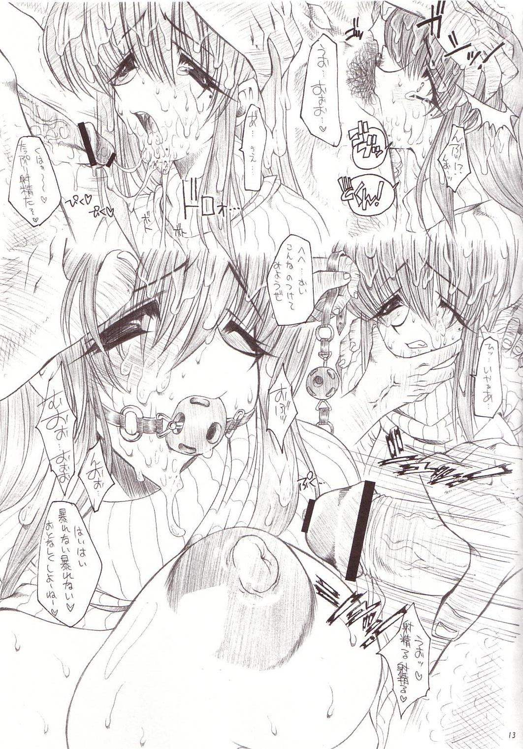 Shiruhime Daizenshuu page 12 full