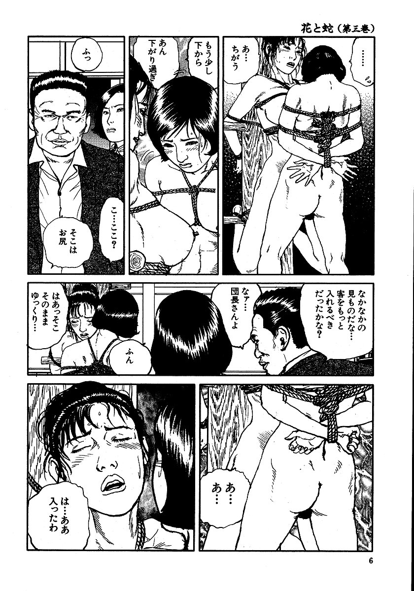 Hana to Hebi 3 page 11 full