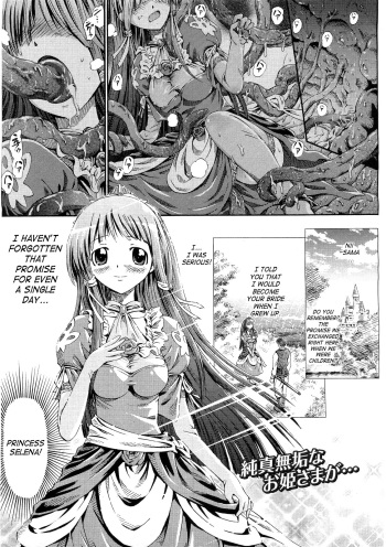 [Horitomo] Koi Hime Hana ～Koihimebana～ (Fairy Tales Chapter 1) [English] {SaHa} cover