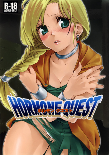 (C74) [Yakiniku Teikoku (Megumi)] HORMONE QUEST (Dragon Quest V) cover