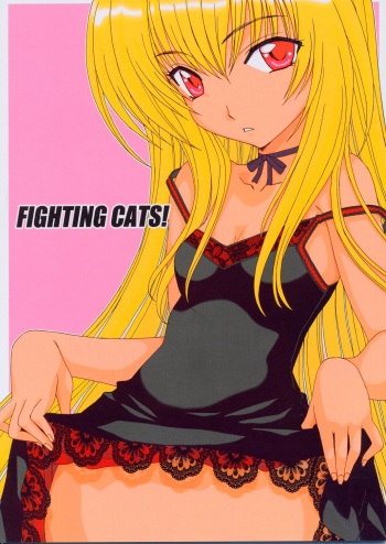 (SC24) [Banana Jam (Hanzaki Jirou)] Fighting Cats! (Black Cat) cover