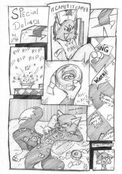 Snowfox's special Delivery