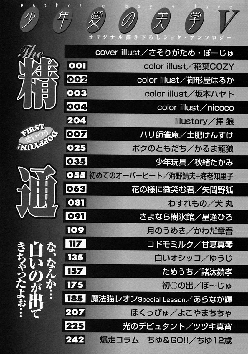Shounen Ai no Bigaku V The Seitsuu page 11 full
