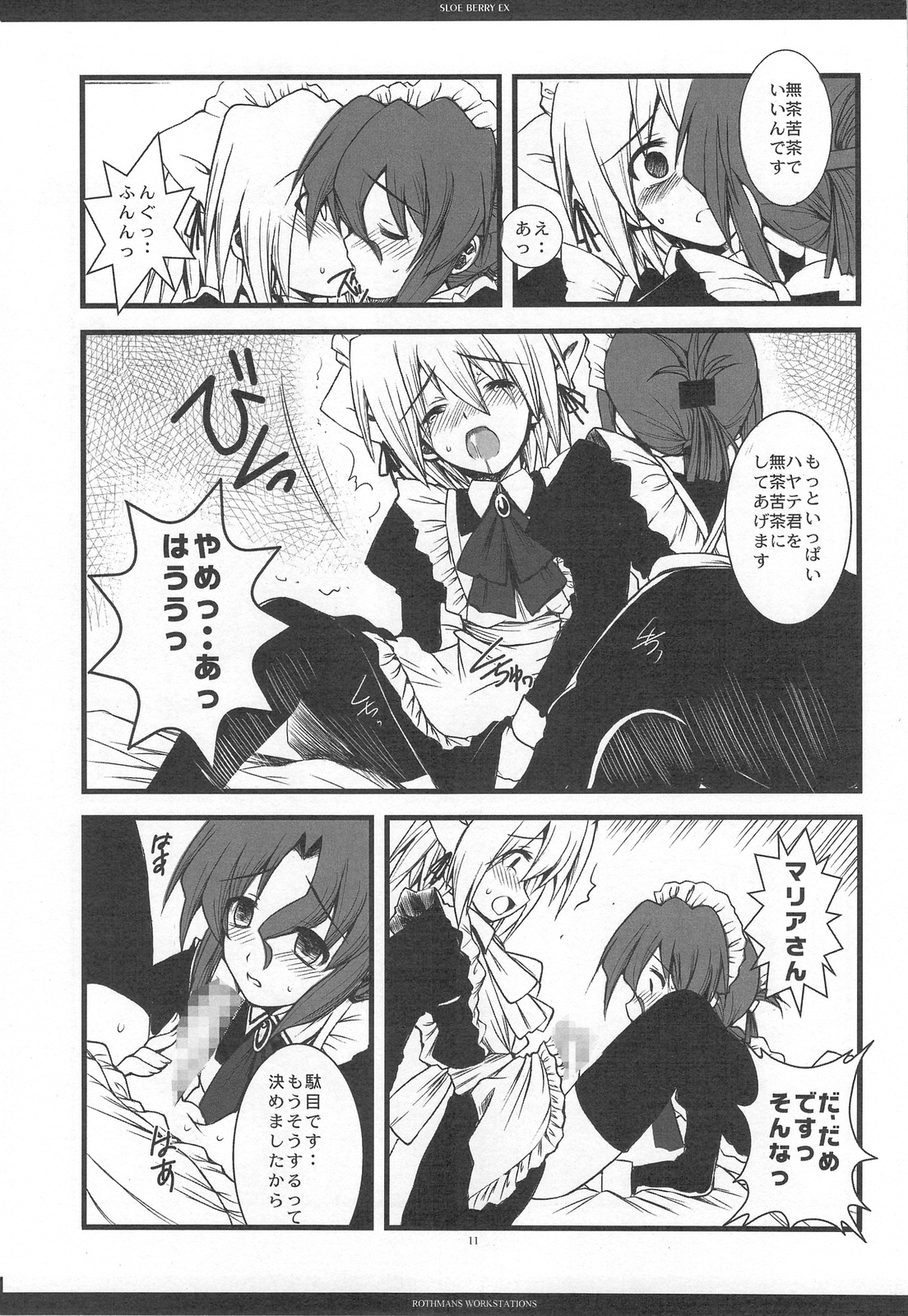SLOE BERRY EX page 10 full