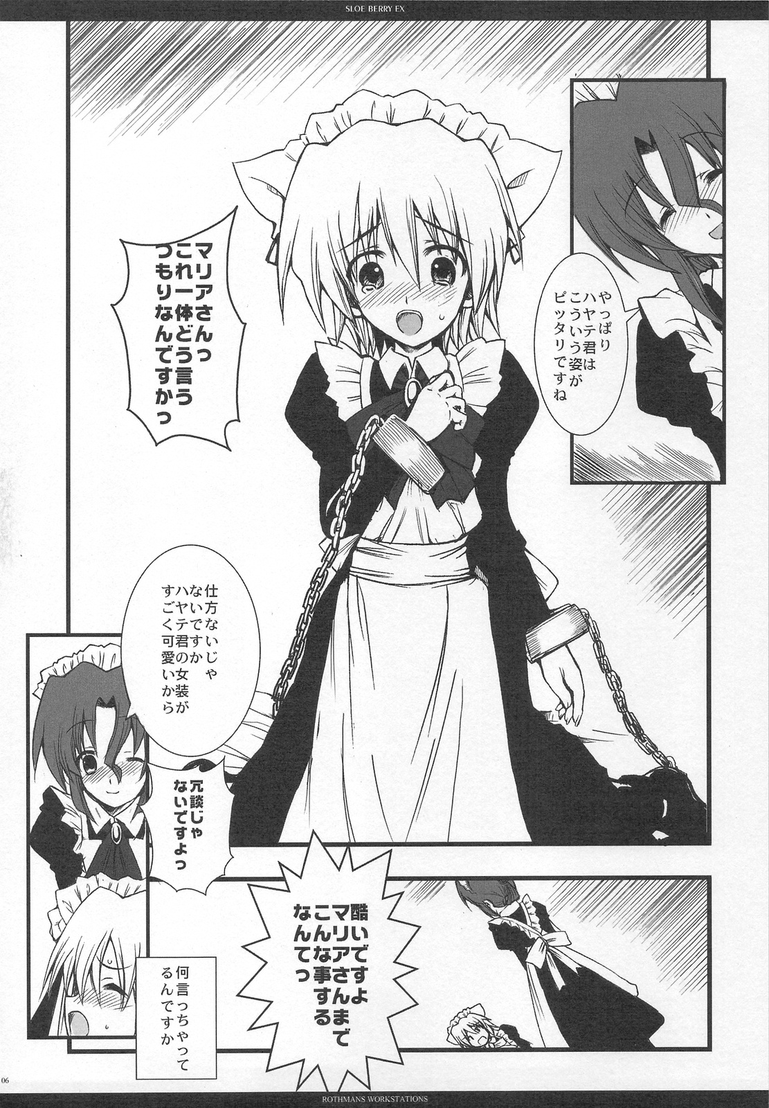 SLOE BERRY EX page 5 full