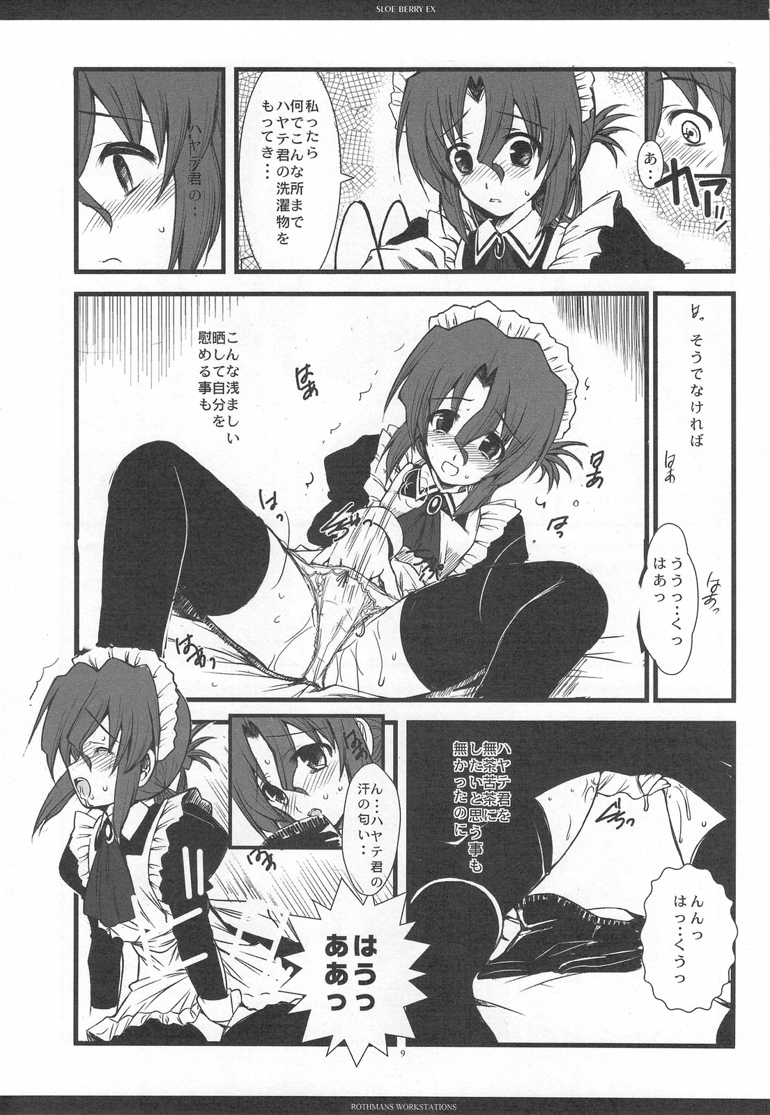 SLOE BERRY EX page 8 full