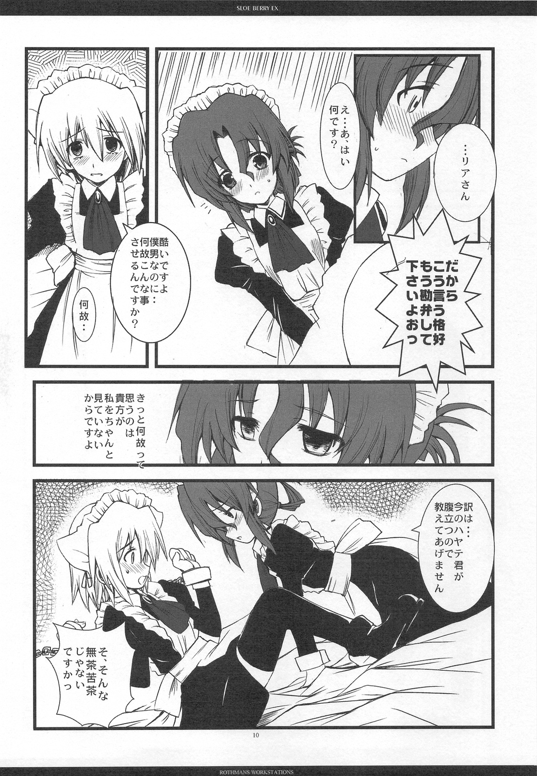 SLOE BERRY EX page 9 full