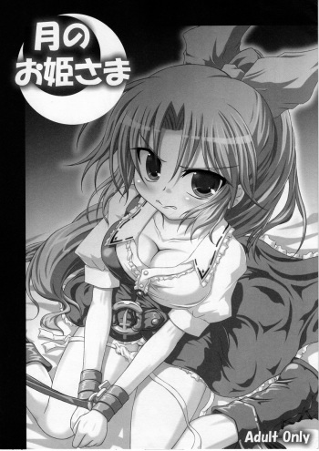 [Schwester (Shirau Inasaki) Tsuki no Ohimesama (Touhou Project) cover