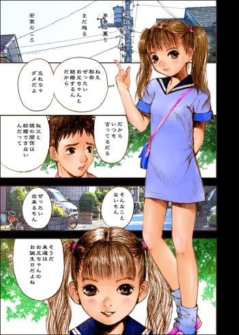 [Nakamura Mizumo] Birthday Present cover