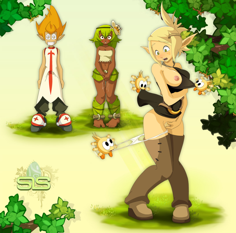 Wakfu Collection page 11 full