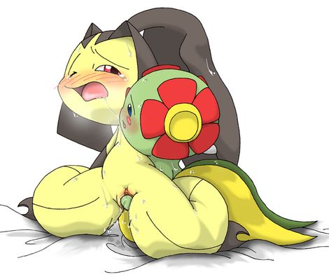 pokemon hentai page 1 full
