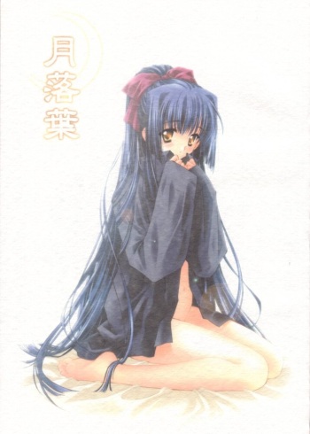 (C61) [CARNELIAN] Tsukirakuyou (Kao no nai Tsuki) cover