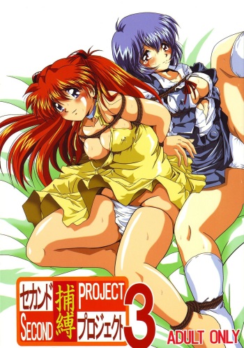 [Thirty Saver Street 2D Shooting (Maki Hideto, Sawara Kazumitsu)] Second Hobaku Project 3 (Neon Genesis Evangelion) cover
