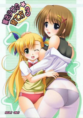 (C75) [K-Drive (Narutaki Shin)] Mahou Shoujo no Sodatekata 3 (Mahou Shoujo Lyrical Nanoha) cover