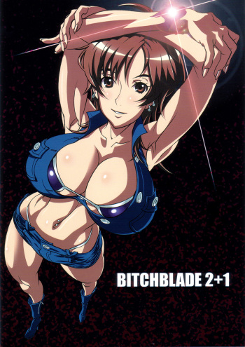 (C73) [SANDWORKS (Suna)] Bitchblade 2+1 (Witchblade) cover
