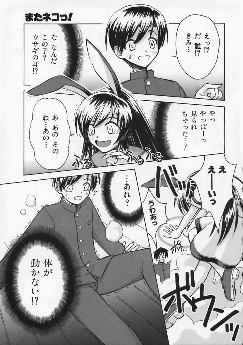Mataneko! page 12 full