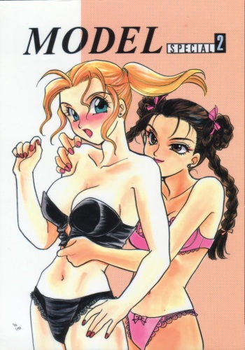 (C46) [METAL (Various)] MODEL SPECIAL 2 (Various) cover