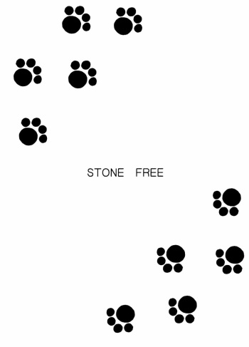 (CR33) [BLACK DOG (Kuroinu Juu)] STONE FREE (Jarinko Chie) [English] cover