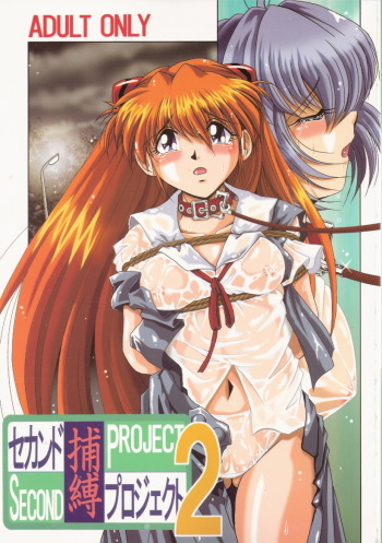 [Thirty Saver Street 2D Shooting (Maki Hideto, Sawara Kazumitsu)] Second Hobaku Project 2 (Neon Genesis Evangelion) cover