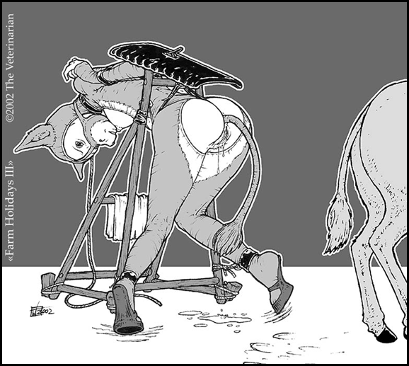 The veterinarian page 11 full